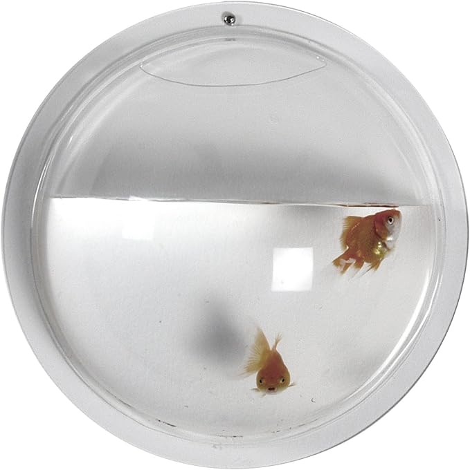 Boom Hemisphere Wall-Mount Fish Bowl, Clear