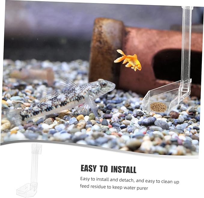 VANZACK Shrimp Aquarium Fish Feeder Acrylic Automatic Feeding Device for Fish Tanks Easy to Install and Clean Compact Design for Freshwater and Aquariums