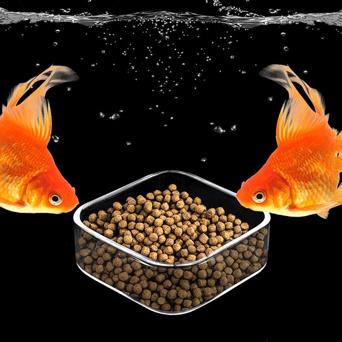 WEAVERBIRD Aquarium Shrimp Feeder Dish Fish Tank Feeding Bowls Glass Square Clear Dish Tray Plate