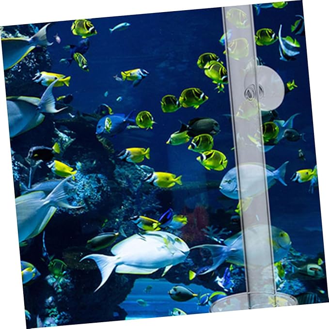 BESPORTBLE 1set Acrylic Fish and Shrimp Feeder Plate Easy Installation for Aquariums Diameter Height Safe for Fish Tanks