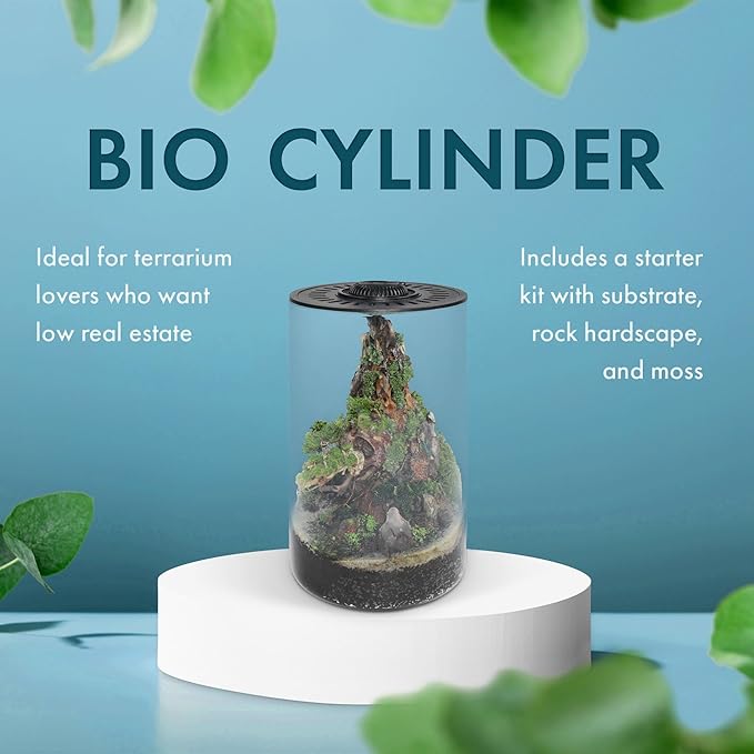 SubstrateSource Bio Cylinder - Glass Plant Terrarium Kit - Glass Terrarium w/LED Grow Light, Adjustable Ventilation Lid, Substrate, Moss & Accent Rocks - Bio Cylinder 200