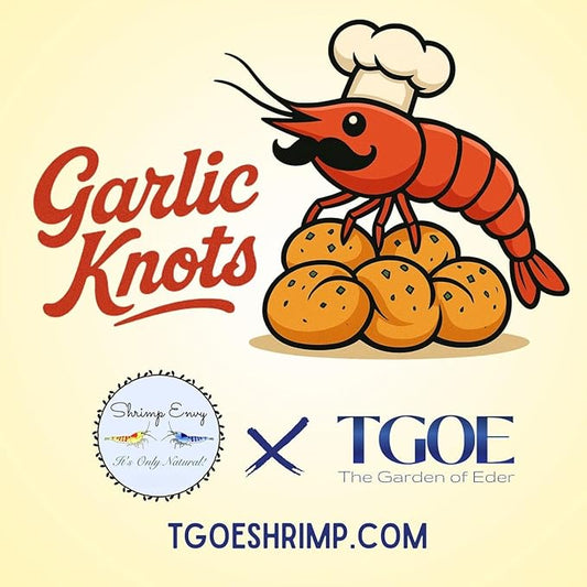 Shrimp Envy x TGOE Garlic Knots Natural Healthy Immunity Vitality Shrimp Food for Shrimp Fish Snail Crab Growth - 35g