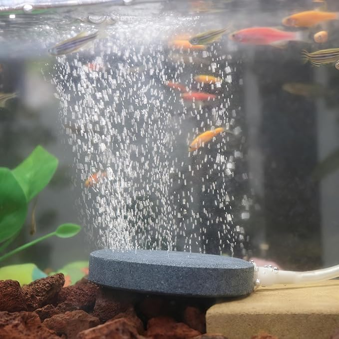 WishLotus Air Stones for Fish Tanks, 8/10cm Round Oxygen Diffuser Aquarium Air Stone with Check Valves and Control Valves Aquarium Bubble Disc for Fish Tank Small Ponds (8cm)