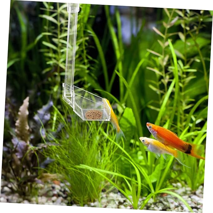 TOYANDONA Aquarium Fish Feeder Shrimp Feeding Tube 21cm Acrylic Automatic Feeder for Betta Tank Vacation Feeding Aquarium Accessories