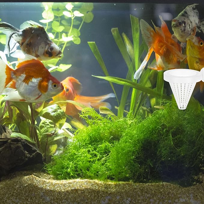 Beaupretty 10pcs Cone Worm Feeder Cups with Suction Cups, Plastic Bloodworm Feeding Funnels for Aquarium Fish, Suitable for Automatic Fish Feeding in Home and Professional Aquatic Tanks