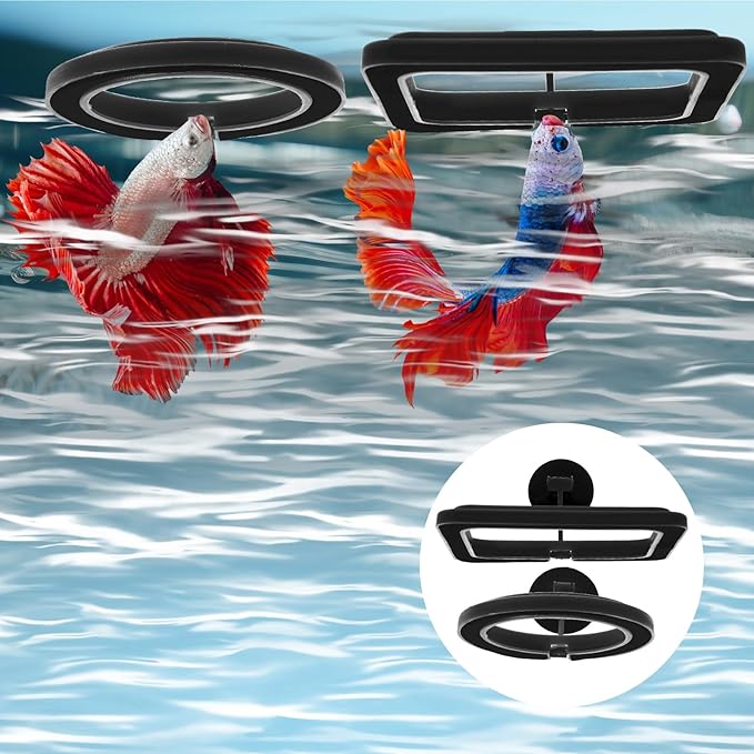 2 PCS Aquarium Feeding Ring, Fish Feeding Rings Automatic Fish Feeder with Suction Cup Betta Feedings Ring Practical Round Floating Food for Betta, Guppy, Goldfish