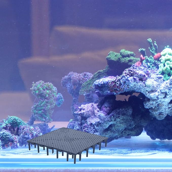Scicalife Fish Tank Bottom Filter Plate 5.9X5.9 Inch PVC Undergravel Filter Board Water Permeable Aquarium Separator for Large Dragon Fish Breeding and Marine Tanks