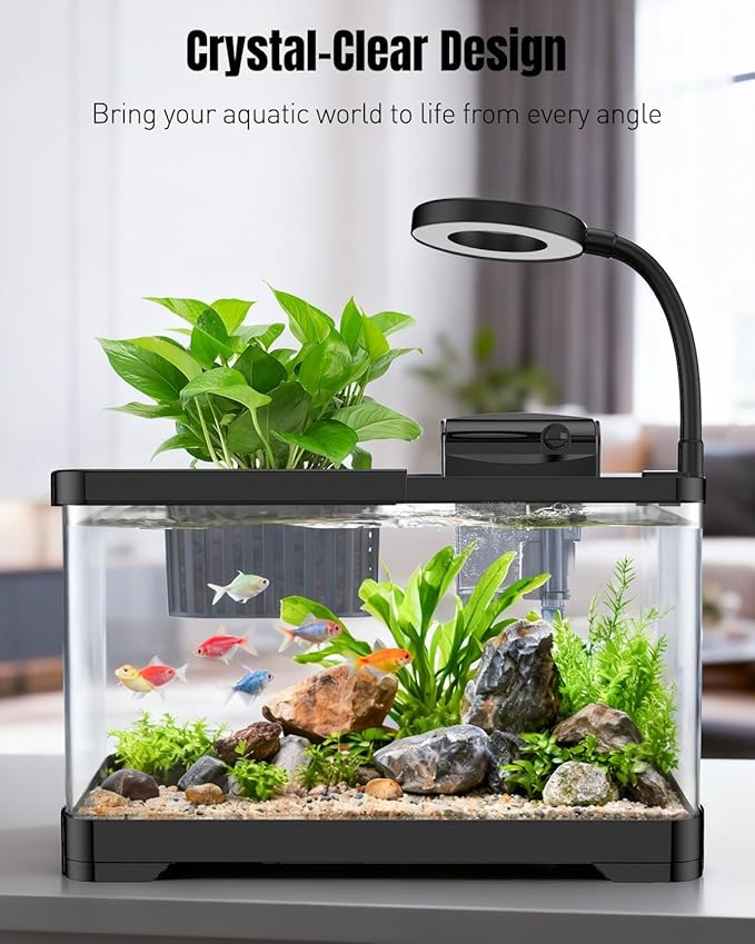 Pawfly 2 Gallon Fish Tank, Small Aquarium Kit, Betta Fish Tank Starter Kit with 6 W LED Light, 65 GPH Filter, Siphon Vacuum Water Changer & Basket, Aquarium for Betta, Shrim, or Small Fishes
