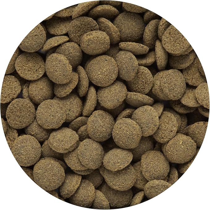 Hikari Tropical Sinking Wafers for Catfish Loaches and Bottom Feeders 3.88 Ounces [2-Pack]
