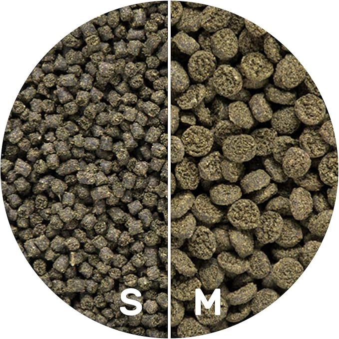 HIKARI Seaweed Extreme Floating Seaweed Rich Pellets for Smaller Marine Herbivores 1.58oz (45g)