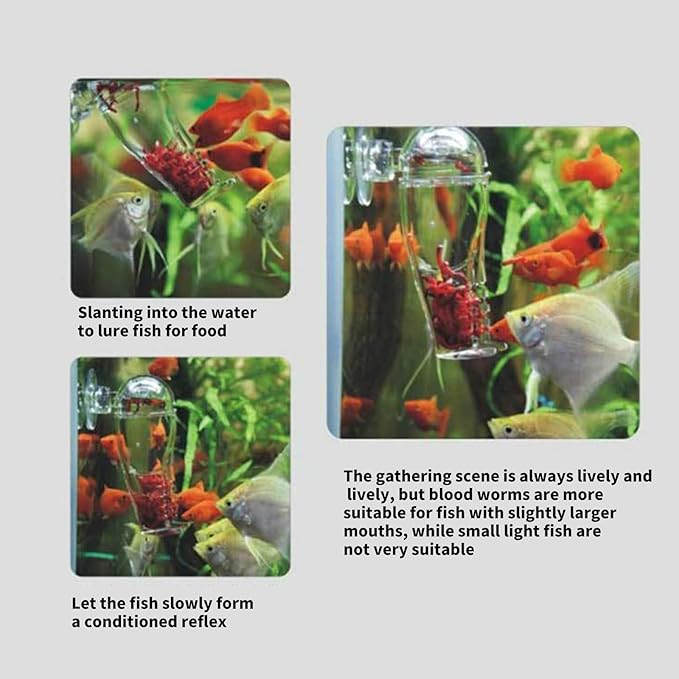 Acrylic Snail Trap for Aquariums Suction Cup Clear Snail Catcher Multifunctional Blood Worm Feeders Planaria Trap