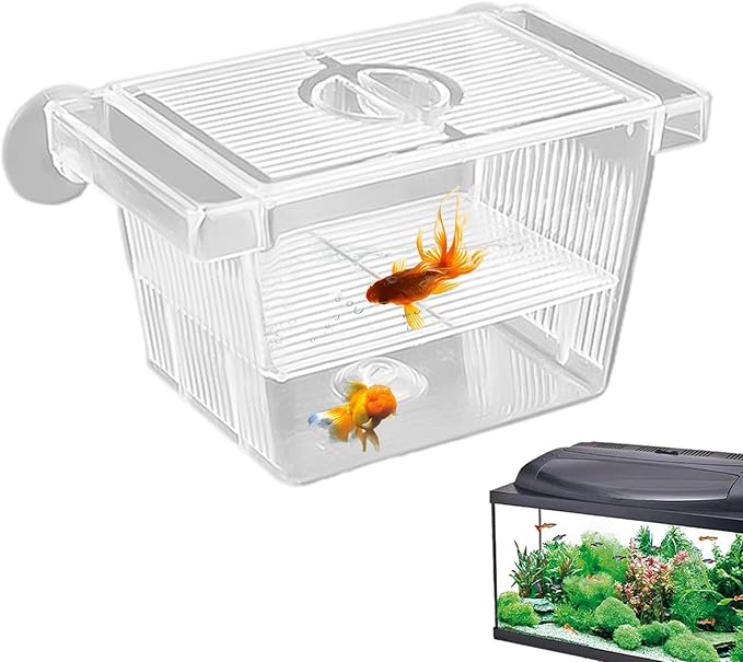 Generic Fish Breeding Tanks - Acrylic Hatchery Incubator Tank, Fish Tank Divider Acclimation Box | Floating Design Baby Fish Tank for Baby Fishes, Shrimp, Clownfish, Guppy, Aggressive Fishes