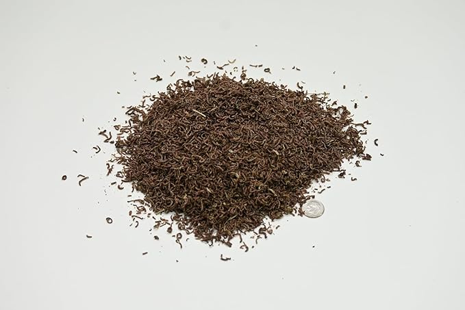 Ken's Fish & Pet Freeze Dried Bloodworms (5 oz. Jar)