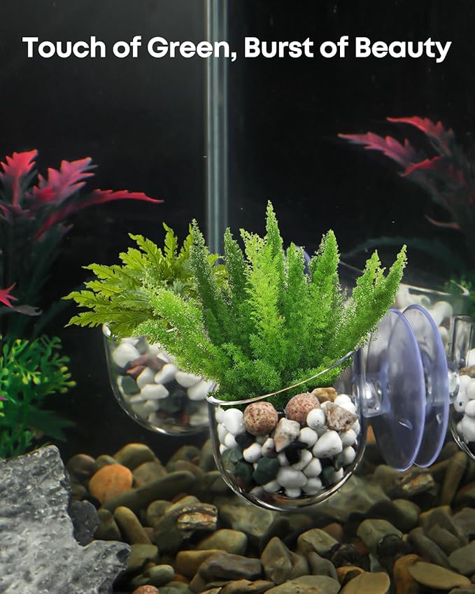 Pawfly Aquarium Plant Holder for Fish Tanks, Clear Plastic Fish Tank Plant Holder, Aquarium Planter Cup with Suction Cup, Fish Tank Plant Pot for Aquascape Decoration, Red Worm Fish Feeder