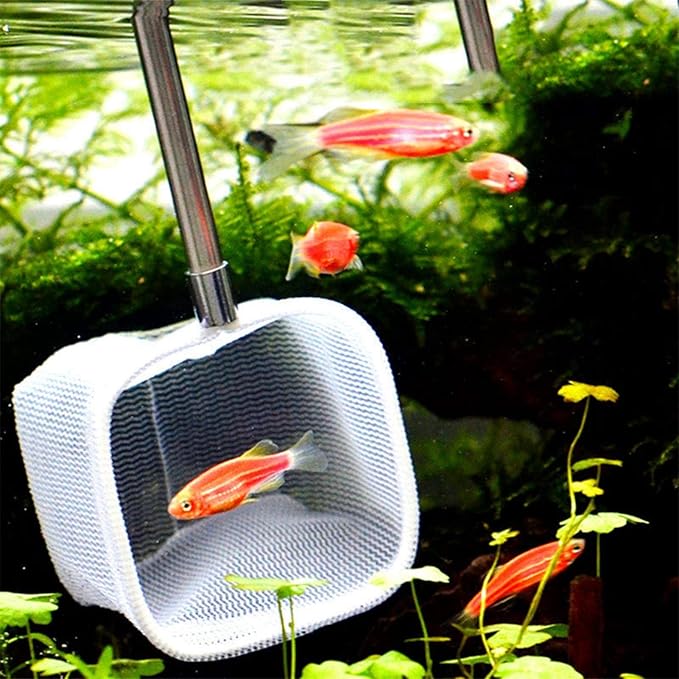 Fish Shrimp Skimming Net, Fishing Landing Net Fine Mesh Extendable Telescopic Fish Shrimp Skimming Net Stainless Steel Handle Fishing Net for Aquarium Fish Pond Creek(Red)