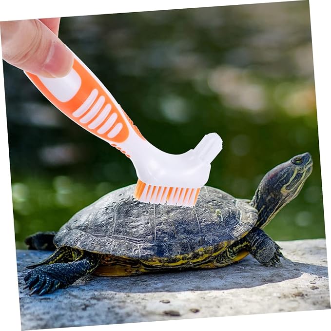 2Pcs Turtle Shell Cleaning Brush Aquatic Tortoise Mud Multi-Functional Brush with Dense Bristles for Shell Cleaning for Turtle Conch Care