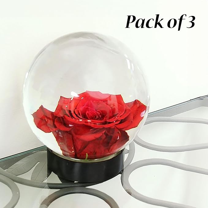 Achla Designs Flower Aquariums Set of 3 Glass Orb Bud Vases with Floral Frog Base, 6.5 Inch Decorative Flower Display Spheres with Plastic Stand, Water Filled Magnifying Flower Vessel Centerpieces