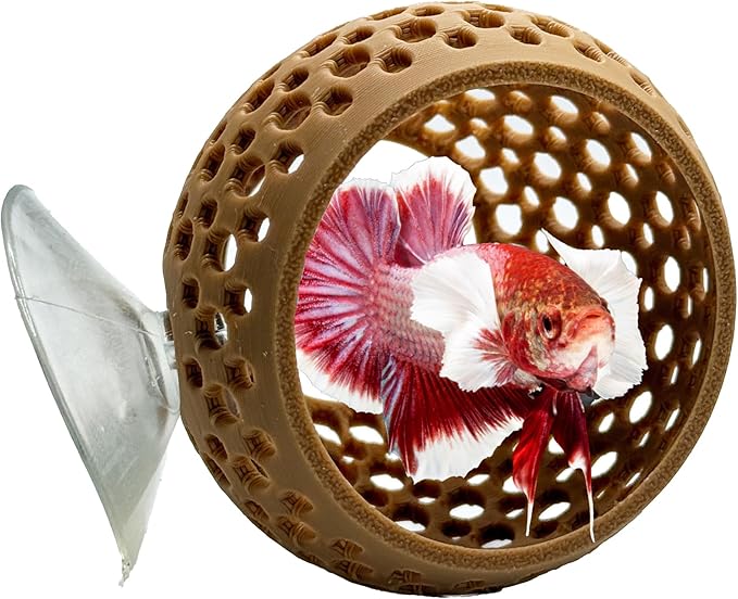 CTWPets Natural Betta Bulb Hide | Betta Rest Fish Tank Ornament | Aquarium Cave with Suction Cup for Small Fish Tank, Betta Habitat, Shrimp Hideout, Aquatic Decor (Light Brown)