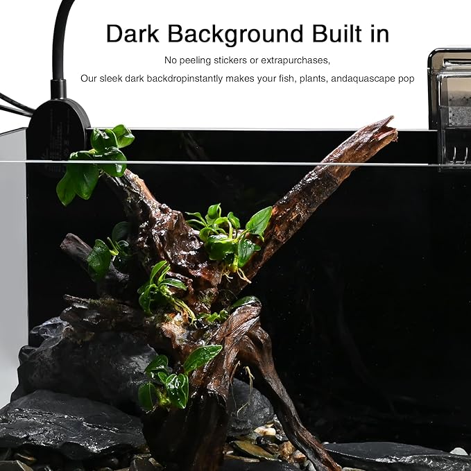 Nano Nature Aquarium Kit,2.8 Gallon Small Aquarium Set Glass Fish Tank with Waterfall Filter and Light for Beginners and Children to Keep Betta Fish, Goldfish, Shrimp, and Aquatic Plants