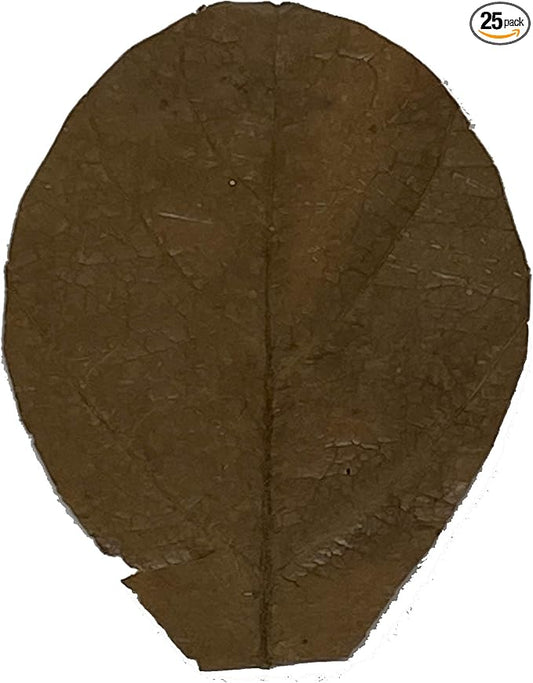 Awesome Aquatic Shrimp & Betta Leaves Catappa/Indian Almond, Dadap, Mulberry Natural Habitat Tannin Producing Improves Immunity Easy to USE (Catappa Mini 2 in 25 Pk)