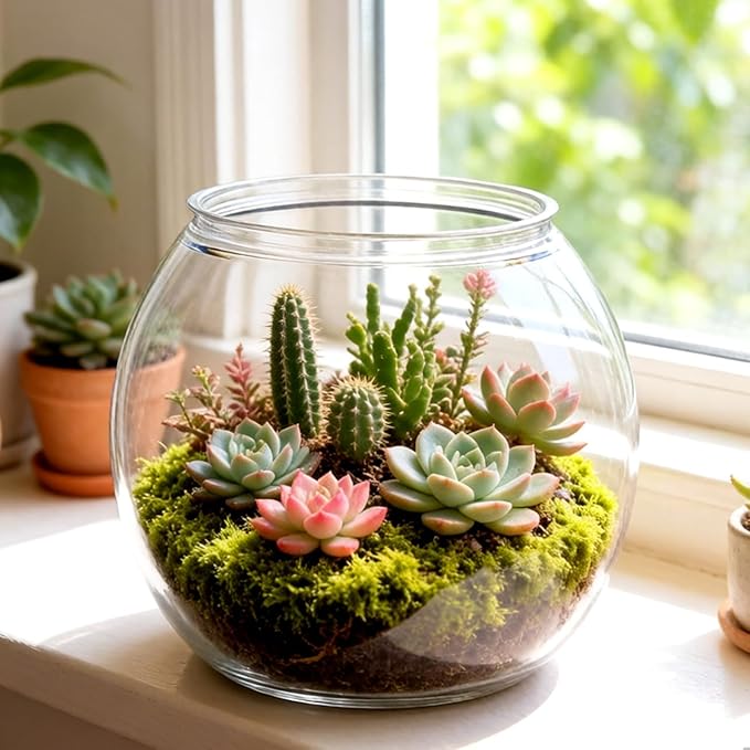 Lurrose Tabletop Fish Tank Plastic Fish Tank Globe Fbowl Clear Feeding Container