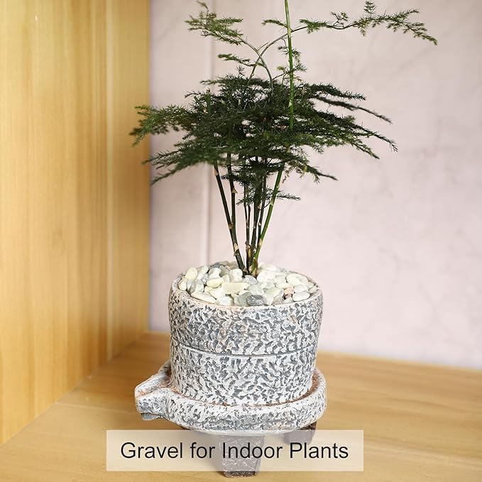 11LB Jade Color 1/8-3/8inch Aquarium Gravel Fish Tank Gravel Pea Gravel for Plants Small Rocks for Indoor Plants Decorative Rocks Colorful Rocks for Vases Rocks for Crafts