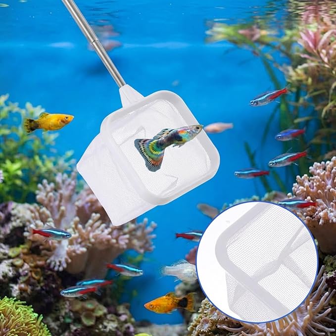 Aquarium Shrimp Net, 3 PCS Small Fish Nets for Fish Tank with Long Extendable Stainless Steel Handle, 3.15 Inch Round+Square Fine Mesh Net for Fishes Shrimp Tank Pond Creek Food Residue Debris