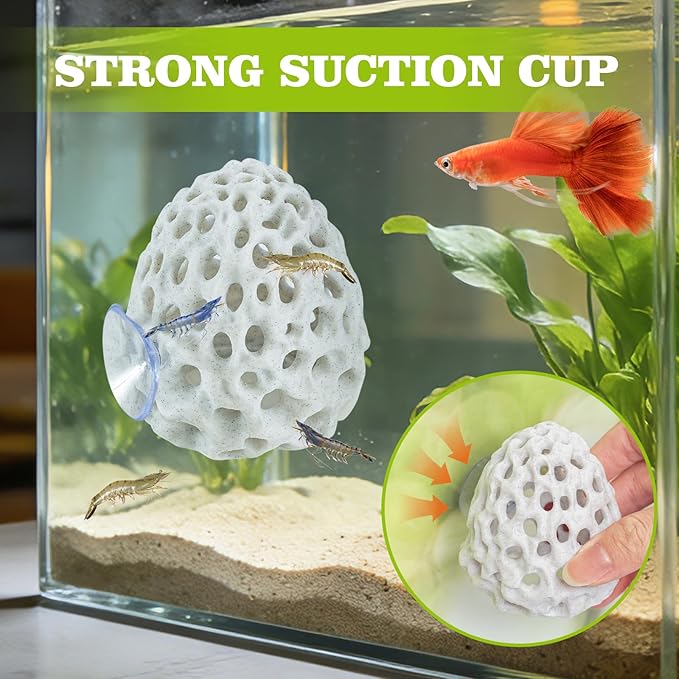 Shrimp Dome Hide, Shrimp Hides for Aquarium, Betta Fish Hideout with Suction Cup, Betta Habitat Tank Ornament Accessories, Aquarium Decor for Small Fish Guppy Hiding Resting (White)