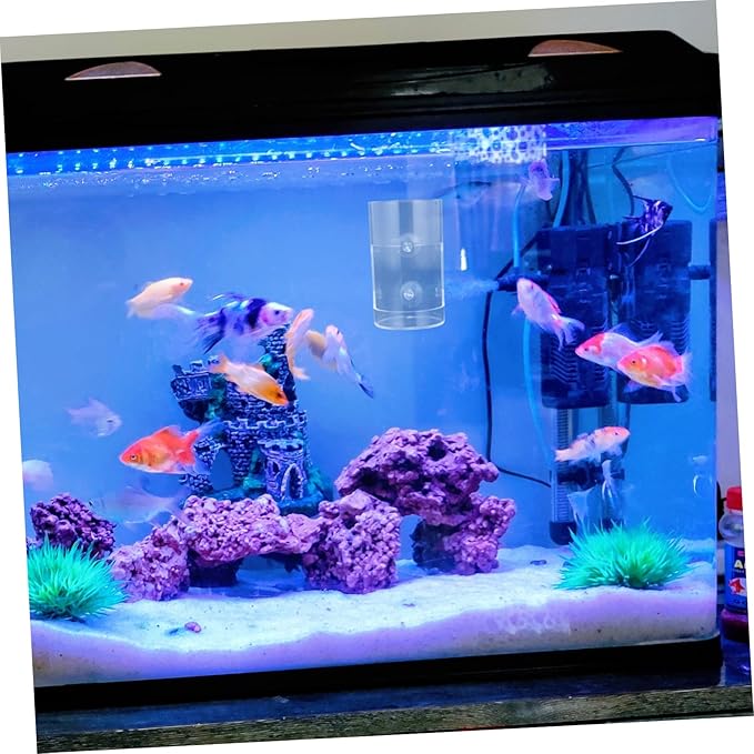 Acrylic Fish Feeder for Aquarium Automatic Feeding Tool Strong Cup Multi-Purpose Shrimp and Fish Feeding Bowl Clear Design for Easy Use
