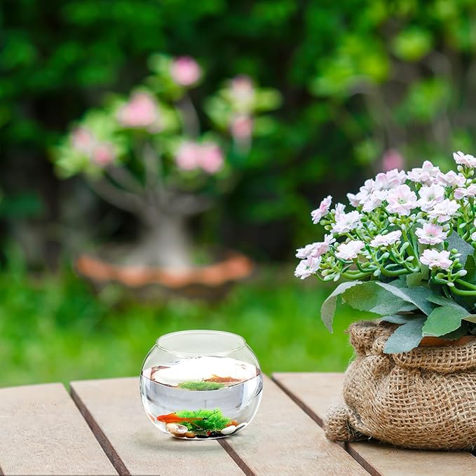 POPETPOP 2pcs Round Glass Terrarium Container Landscape Bottle for Moss Decor for Home Office Garden and Patio Decoration Creative Plant Display