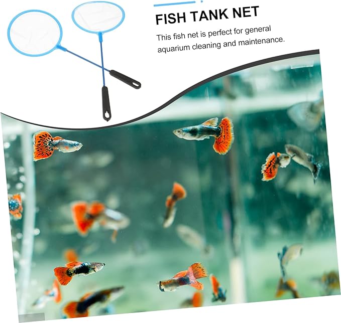 30pcs Brine Shrimp Fishing Net Fish Tank ing Landing Net Mesh Net Landing Net