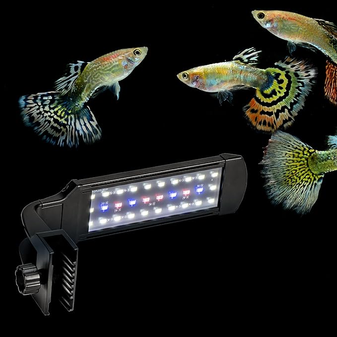 Aquatop LED Aquarium Clamp on Light, 6,500K Spectrum, Fits Rimless Fish Tanks, SkyAqua Mini, UL & CSA, SAQ-Mini
