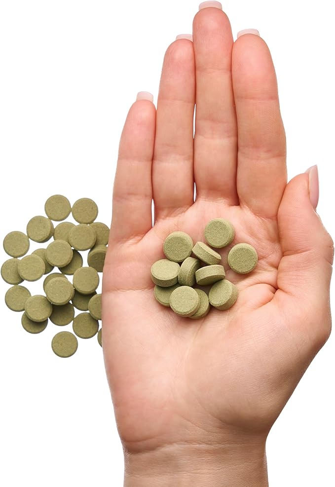 Plecoceramics Protein Wafers Universal Fish Food for Aquarium Fish - Turtle, Goldfish, Catfish - Algae Wafers for Bottom Feeders - Protein Pellets (3.53 oz / 100 gr)