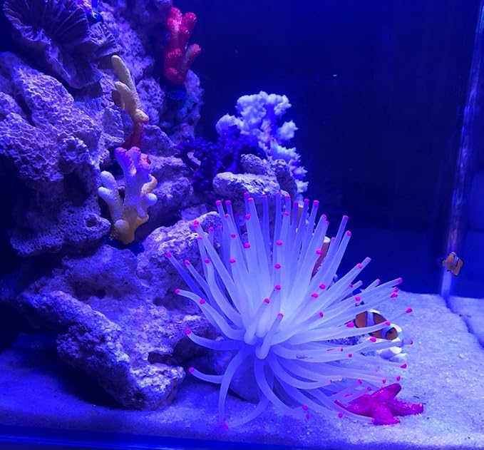 Artificial Aquarium Fish Tank Decoration Silicone Sea Anemone Artificial Fish Tank Ornament Decoration (White)