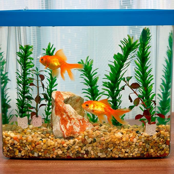 VANZACK 20Pcs Ceramic Water Plant Fixed Rings - Aquarium Anchor for Fish Tank Decor, Aquatic Plant Holder, Easy Installation