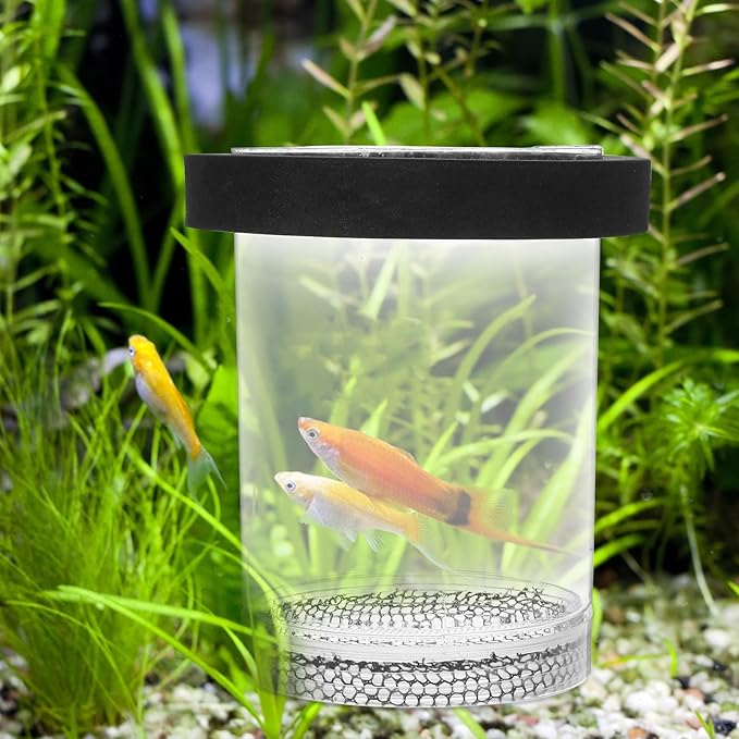 Ipetboom Floating Fish Breeding Box for Aquarium Tank - Plastic Hatching Box with Mesh Net for Baby, 5.9 X 3.9 X 3.9 in