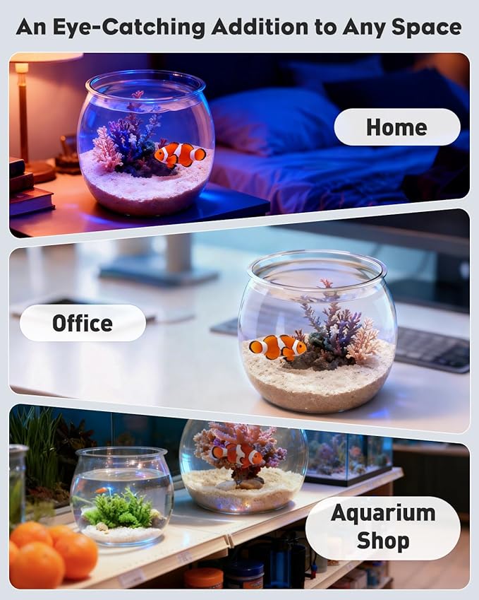 Pawfly 0.5 Gallon Mini Plastic Fish Bowl, Unbreakable Small Fishbowl Desktop Aquarium, Clear Round Plastic Fish Tank for Small Fish, Shatterproof Betta Fish Tank Goldfish Bowl, Decorative Globe Vase