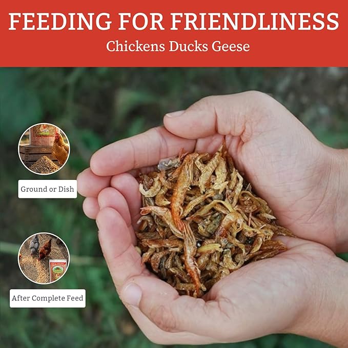 Fish & Shrimp Chicken Treats with Dried Shrimp and Freeze Dried Minnows, High Protein Chicken Snacks with Omega 3 and Calcium for Chickens and Ducks - 1 lb