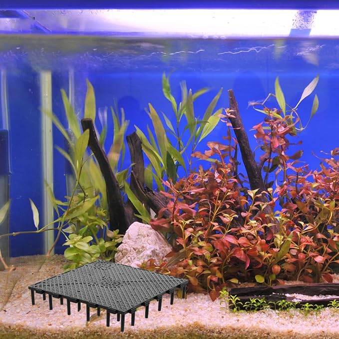 TEHAUX Fish Tank Bottom Filter Plate 6 X 6 X 1.06 Inch Pvc Aquarium Undergravel Filter Divider for Aquatic Pets Breeding and Tank Separation