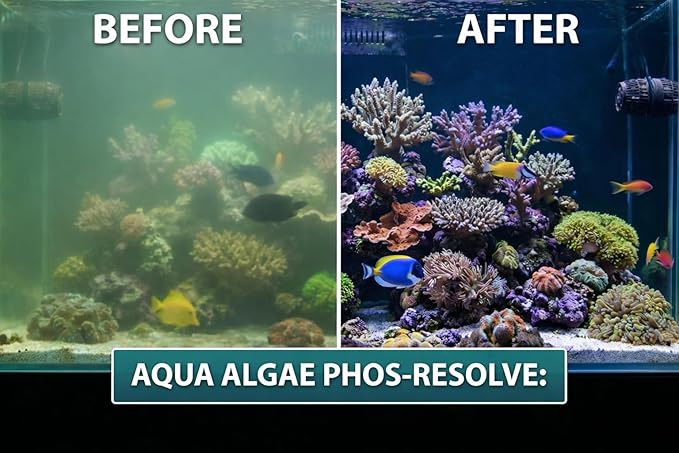 Phos-Resolve Phosphate Remover for Reef Tanks & Aquariums, 15% Lanthanum Chloride, 16 oz