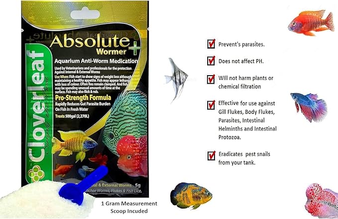Absolute Wormer Plus (50g) Fish wormer Powder, Rapidly Reduces Gut Parasite Burden. Aquarium Anti-wormer. Effective Against flukes, Worms, parasites, and Fish lice. Internal and External parasites