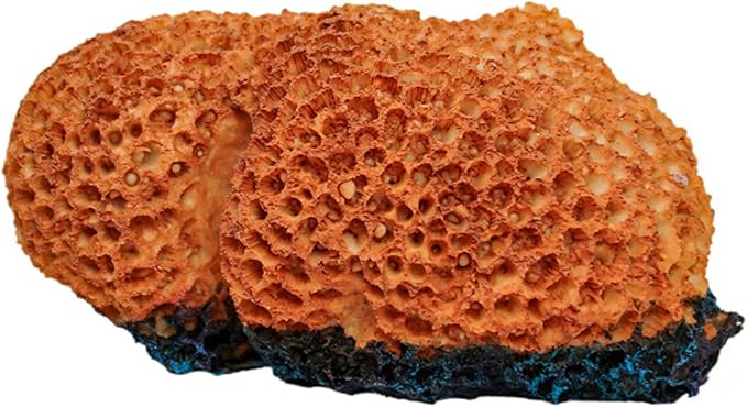 Resin Coral Plant Decorations Artificial Ornament Decor Resin Pink Coral Reef Decoration Accessories for Betta Fish Tank Aquarium Landscape,1 Pcs PA40315