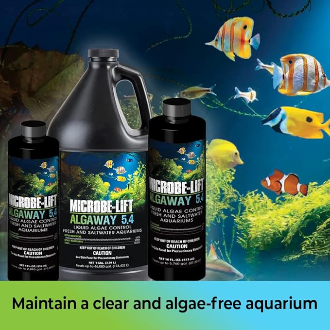 MICROBE-LIFT Algaway 5.4 Algae Remover for Aquariums, Algaecide for Freshwater and Saltwater Tanks, Aquarium Algae Control and Fish Tank Cleaner, Safe for Fish and Plants, 8 Ounces (ALGAA08)