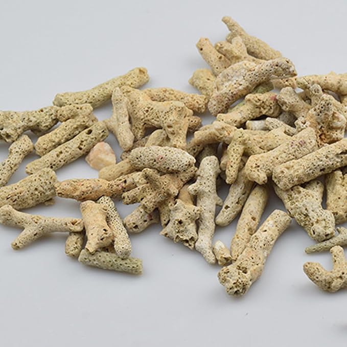 10cm 500g Crushed Coral, Fish Tank Filter Media, Aquarium Filter Material, Tank Pond Fish Tank Media Decoration for Aquarium Fishtank Freshwater Sea Water