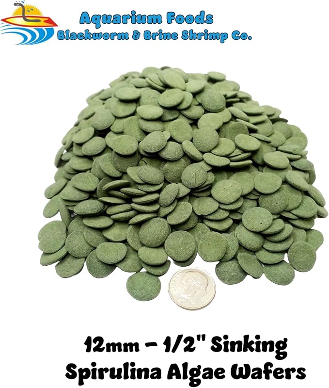 5-lbs Sinking Wafers of Algae & Spirulina for Plecos, Bottom Fish, Catfish, Shrimp, Snails, Crayfish, All Herbivorous and Omnivorous Tropical Fish. Premium AFI 5-lb-Jar