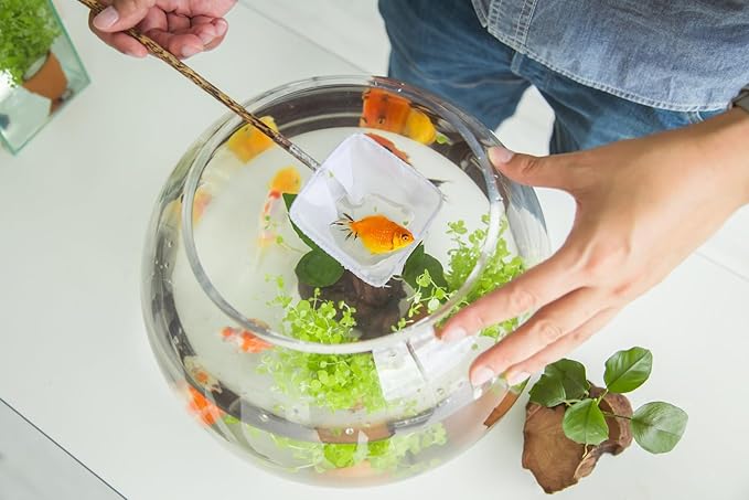 Jucoan 0.9 Gallon Glass Fish Bowl with Decor, Clear Round Shallow Glass Bowl for Betta Fish and Aquatic Plants, Includes Aquarium Decor Stones, Tree and Fish Nets for Holiday Wedding Centerpiece
