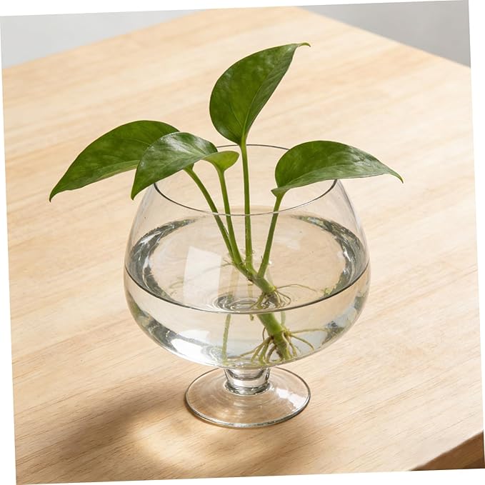Transparent Glass Fish Bowl Vase, Multi-Function Betta Tank, Desktop Goldfish Aquarium, Hydroponic Plant Pot, Wine Glass Shape, Home Office Decor