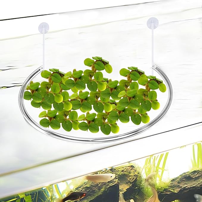 2 Pack Aquarium Floating Plant Corral, Floating Plant Fence, Aquarium Plant Barrier, Separates Floating Plants, Auto Adjust Height with Water Level for All Floating Plants and Aquariums
