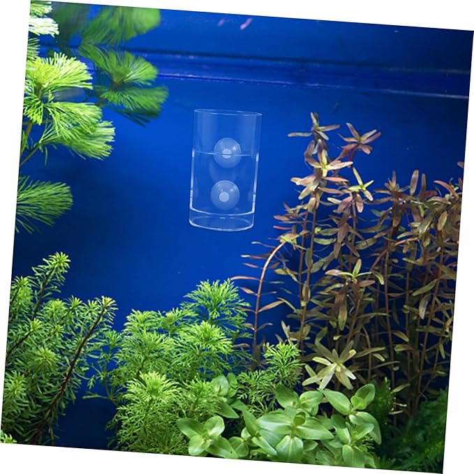 Fish Feeding for Aquariums Clear Floating Circle Cup Efficiently Distributes Food for Freshwater Tanks Fish Feeding Supplies