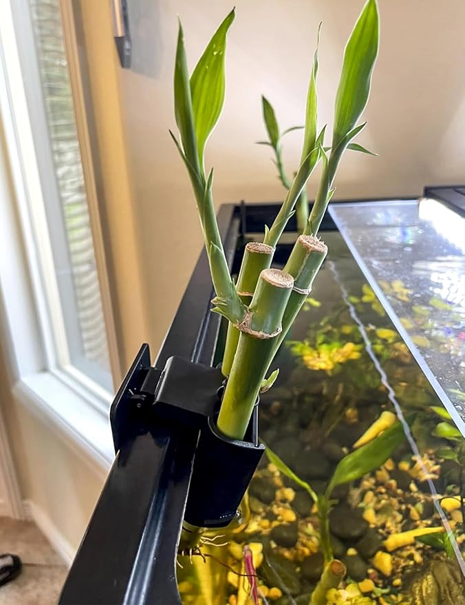 sogiv 3 Holes Aquatic Plant Cups, Hanging Aquarium Plant Holder, for Fish Tank Plants Potting, Aquascape Accessories Decorations, Black, 2 Pcs